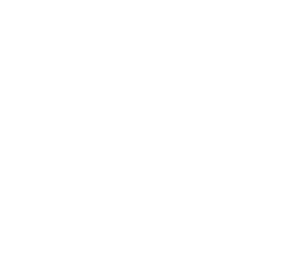 VnurtureIt logo